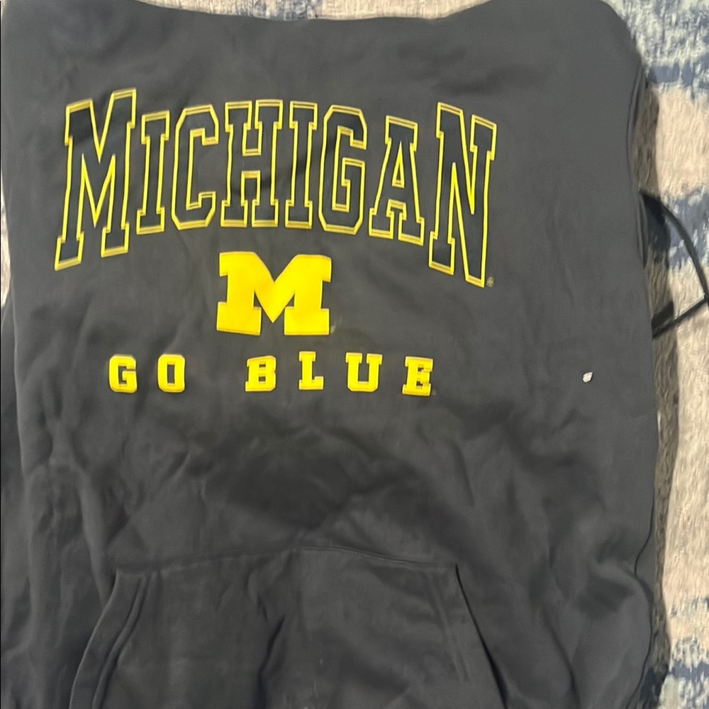 Michigan Go Blue Hoodie